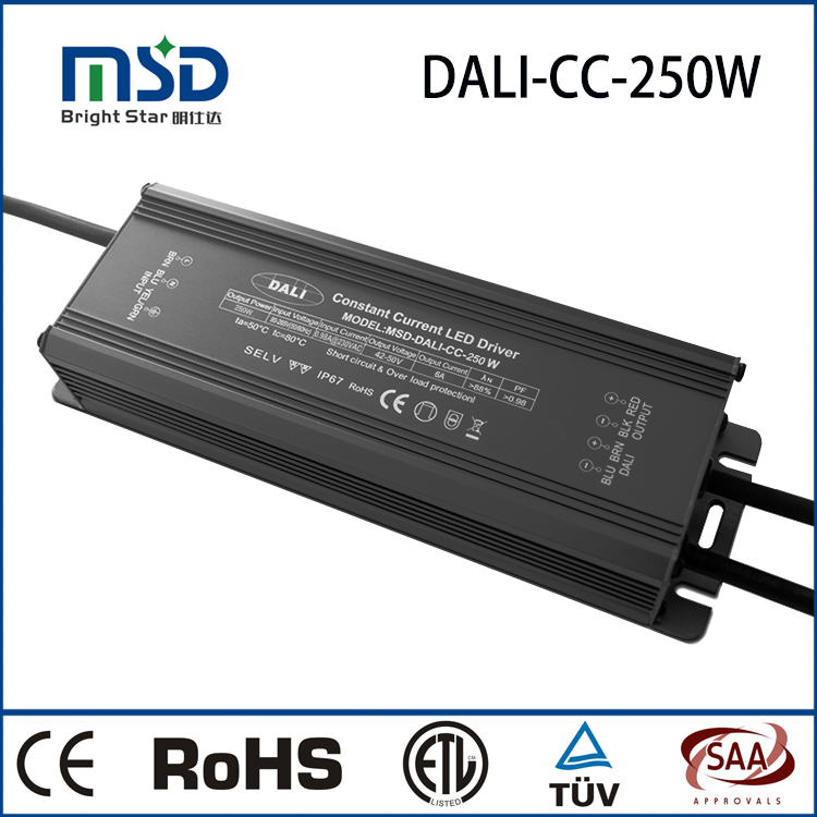 DALI CC 250W IP67